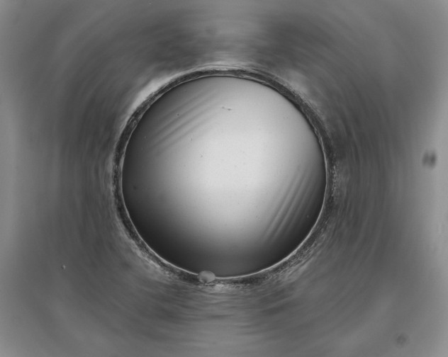 X0000097291412200802291739