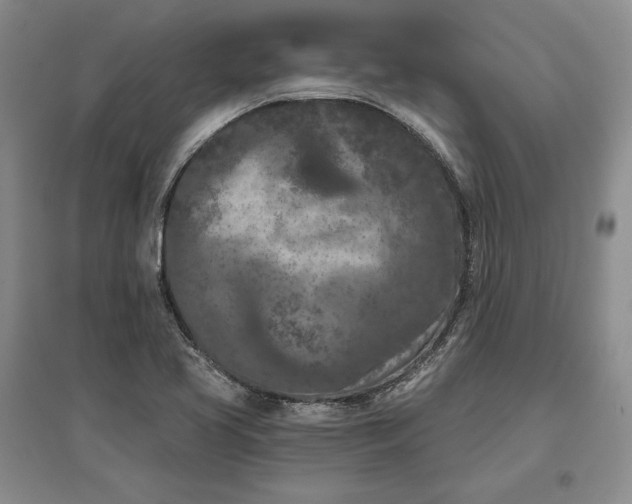 X0000097291413200802291739