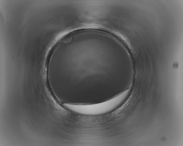 X0000097291414200802291739