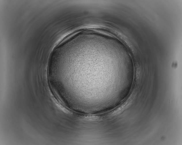 X0000097291417200802291739