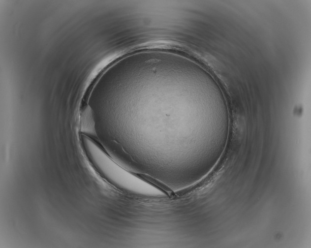 X0000097291418200802291739