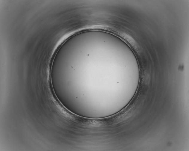 X0000097291420200802291739