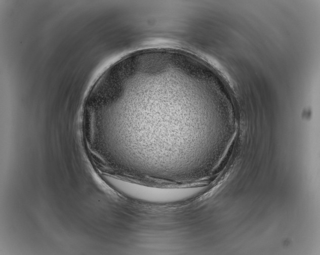 X0000097291421200802291739