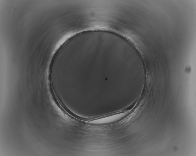 X0000097291422200802291739