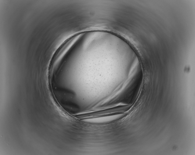 X0000097291423200802291739