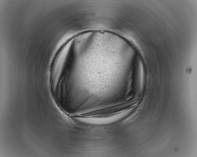 X0000097291424200802291739