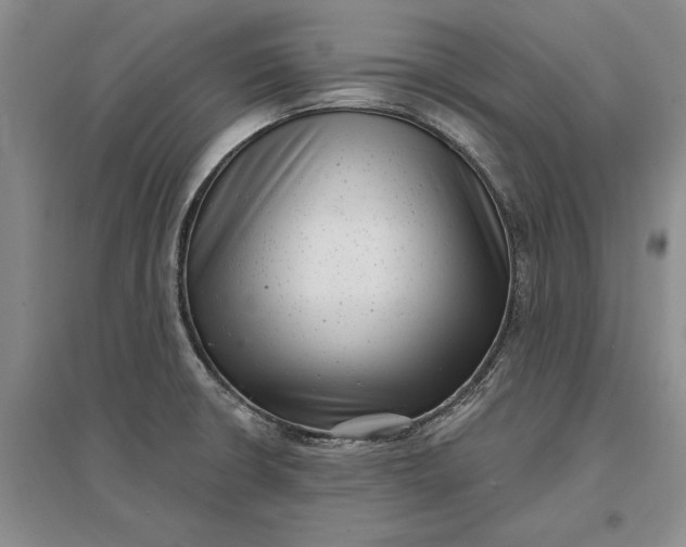 X0000097291426200802291739