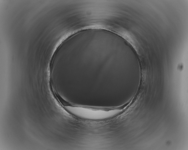 X0000097291428200802291739