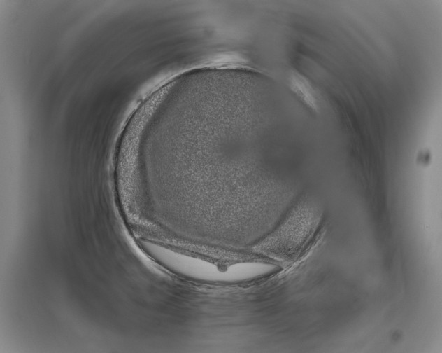 X0000097291429200802291739