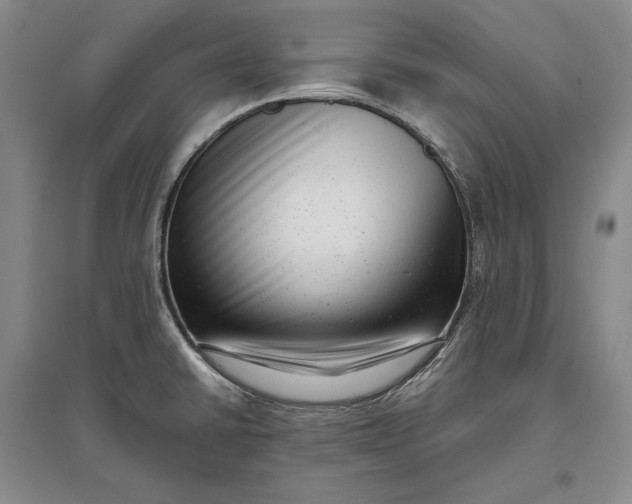 X0000097291430200802291740