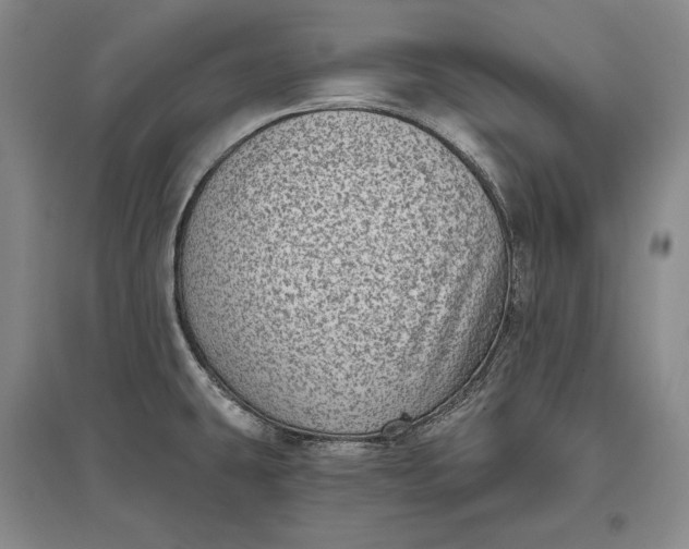 X0000097291431200802291740