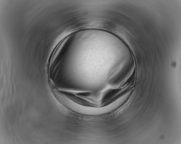 X0000097291434200802291740
