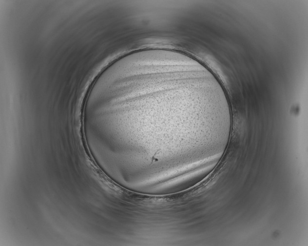 X0000097291435200802291740