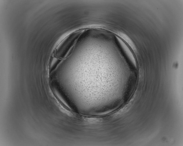 X0000097291436200802291740