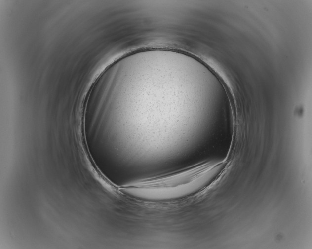X0000097291437200802291740