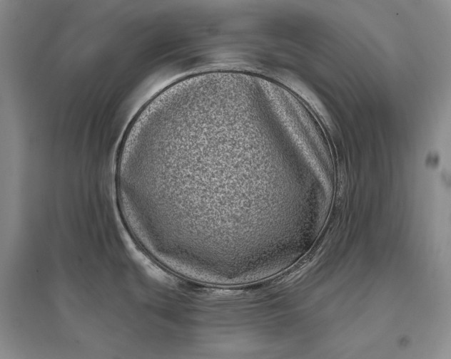 X0000097291439200802291740
