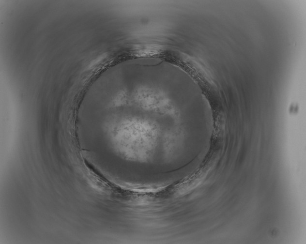 X0000097291441200802291739