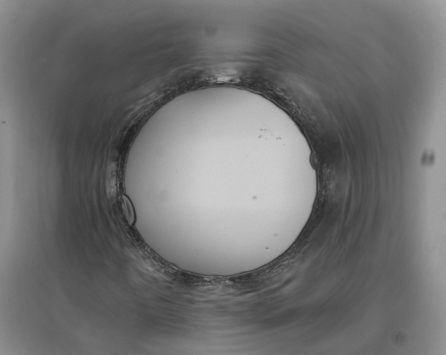 X0000097291442200802291739