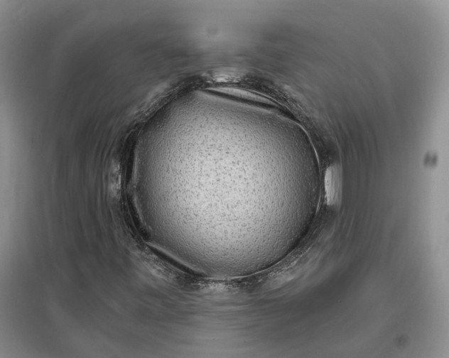 X0000097291443200802291739