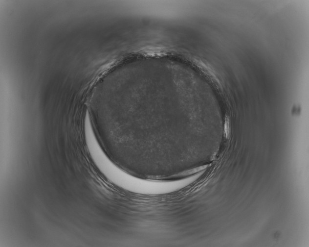 X0000097291444200802291739
