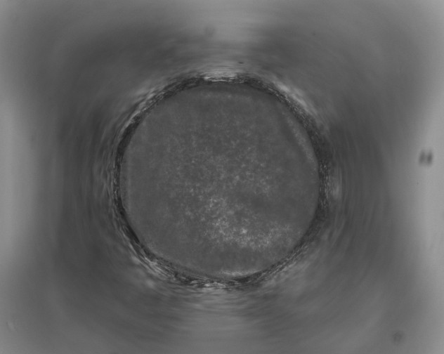 X0000097291445200802291739