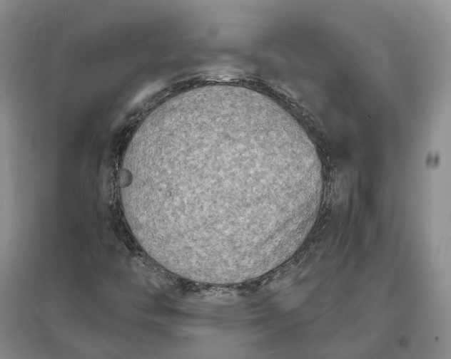 X0000097291446200802291739