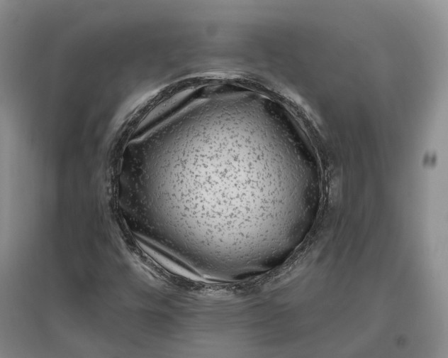 X0000097291448200802291739