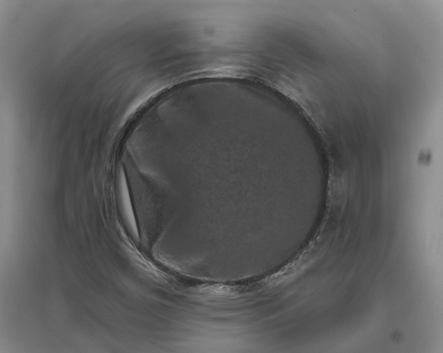 X0000097291450200802291739