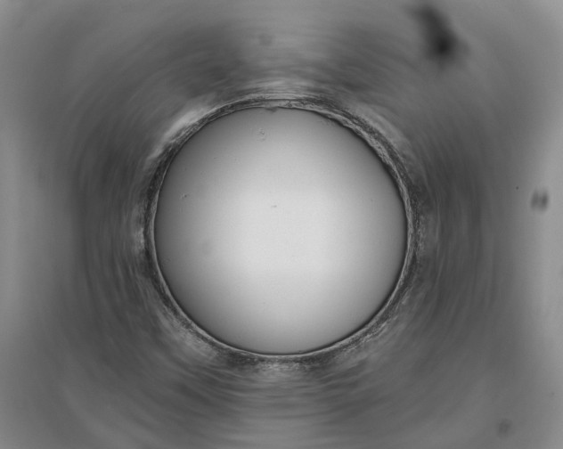X0000097291451200802291739