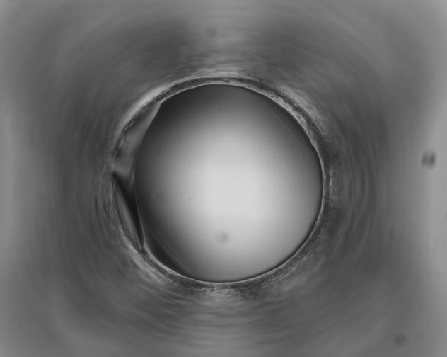 X0000097291452200802291739