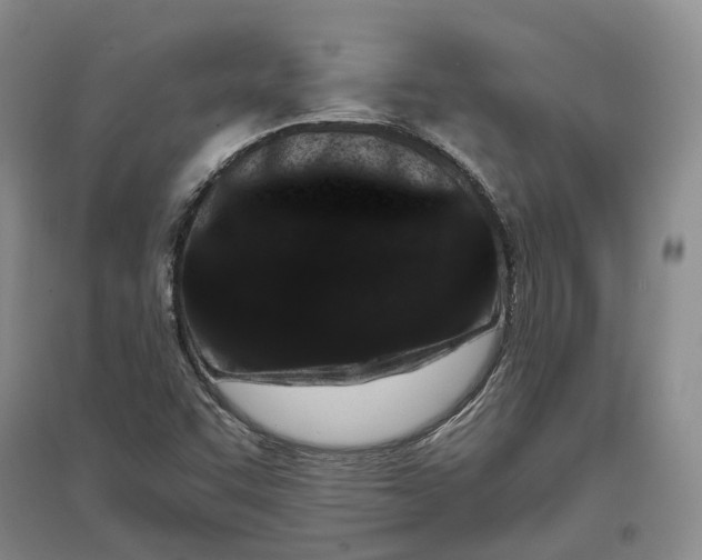 X0000097291455200802291739