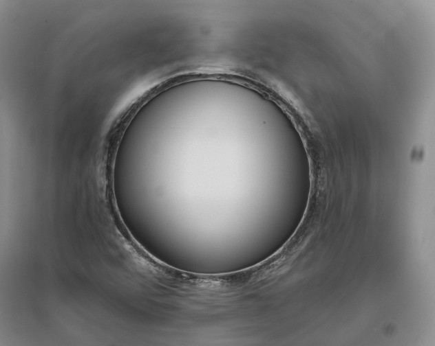 X0000097291456200802291739