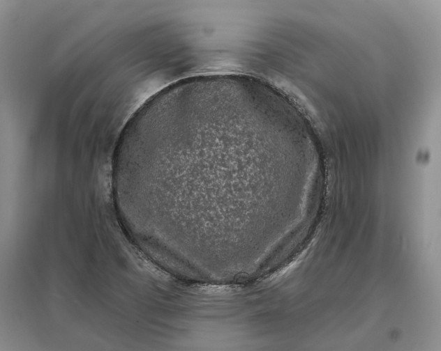 X0000097291457200802291739