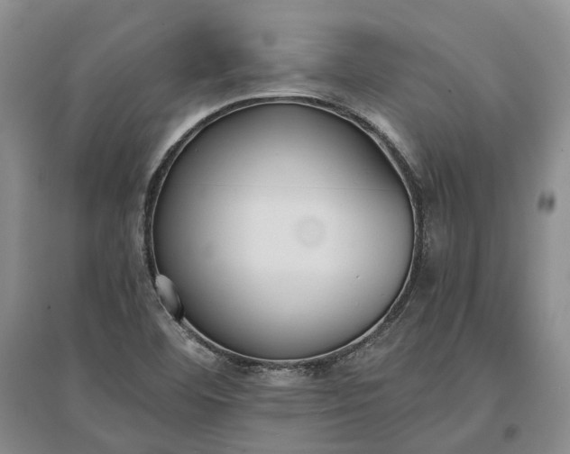 X0000097291460200802291739