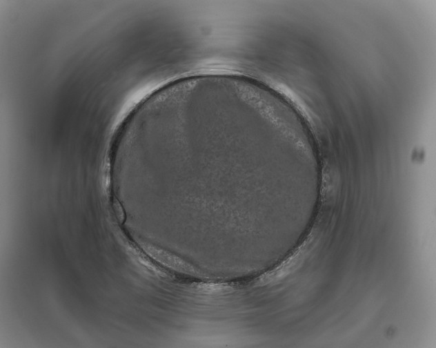 X0000097291461200802291739