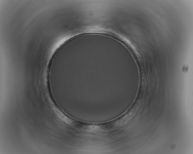 X0000097291463200802291739