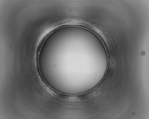 X0000097291464200802291739
