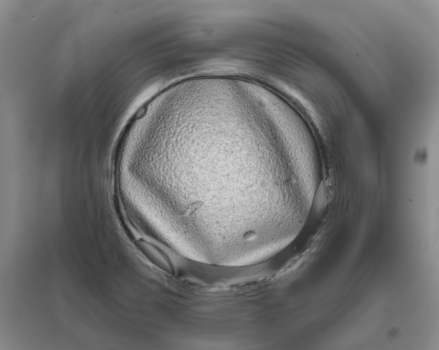X0000097291467200802291739