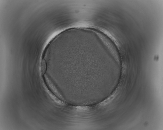 X0000097291469200802291739