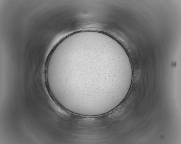 X0000097291470200802291739