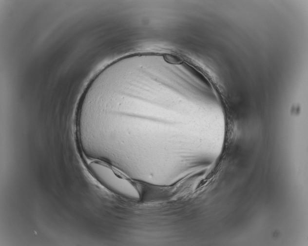 X0000097291471200802291739