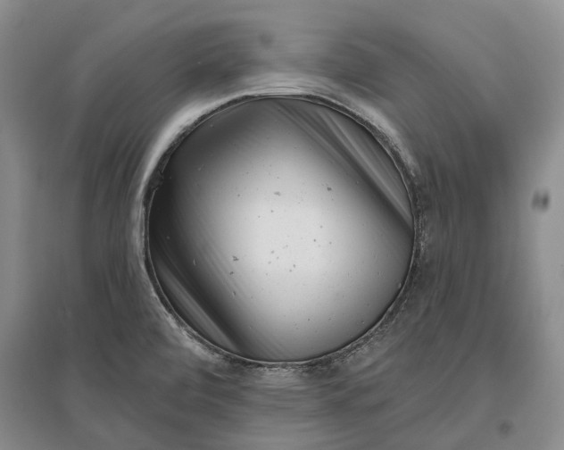 X0000097291472200802291739