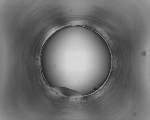 X0000097291473200802291739