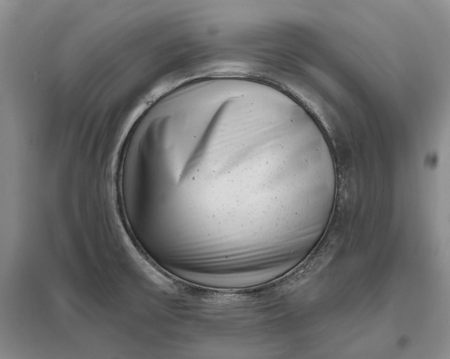 X0000097291475200802291739