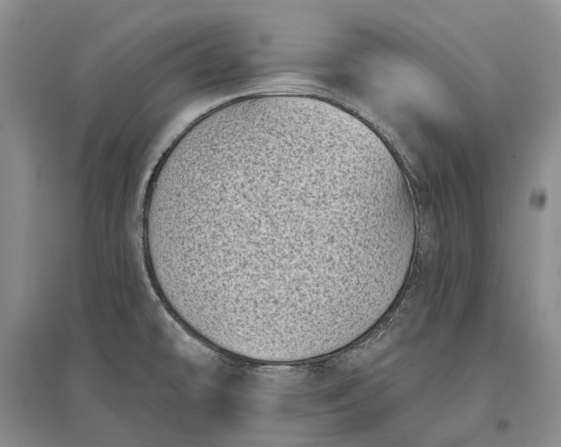 X0000097291478200802291738