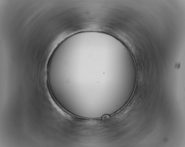 X0000097291479200802291738