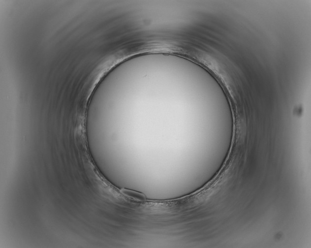 X0000097291481200802291738