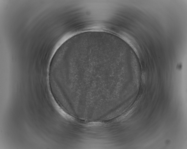 X0000097291482200802291738