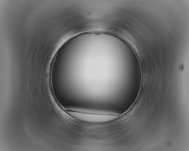 X0000097291483200802291738
