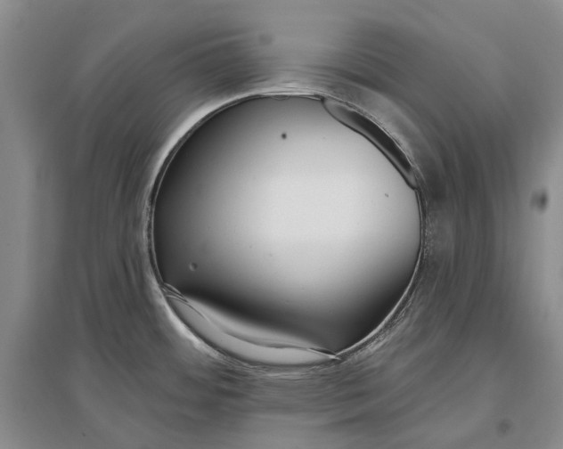 X0000097291484200802291738